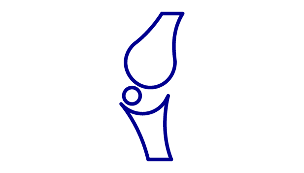 icon of bone joint